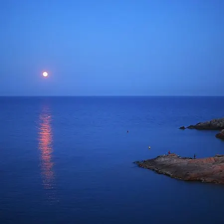 Tee & Sea *